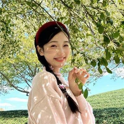 蚊子海岸第二季